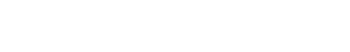 Wozinsky - logo marki Wozinsky w bieli - Wozinsky.com